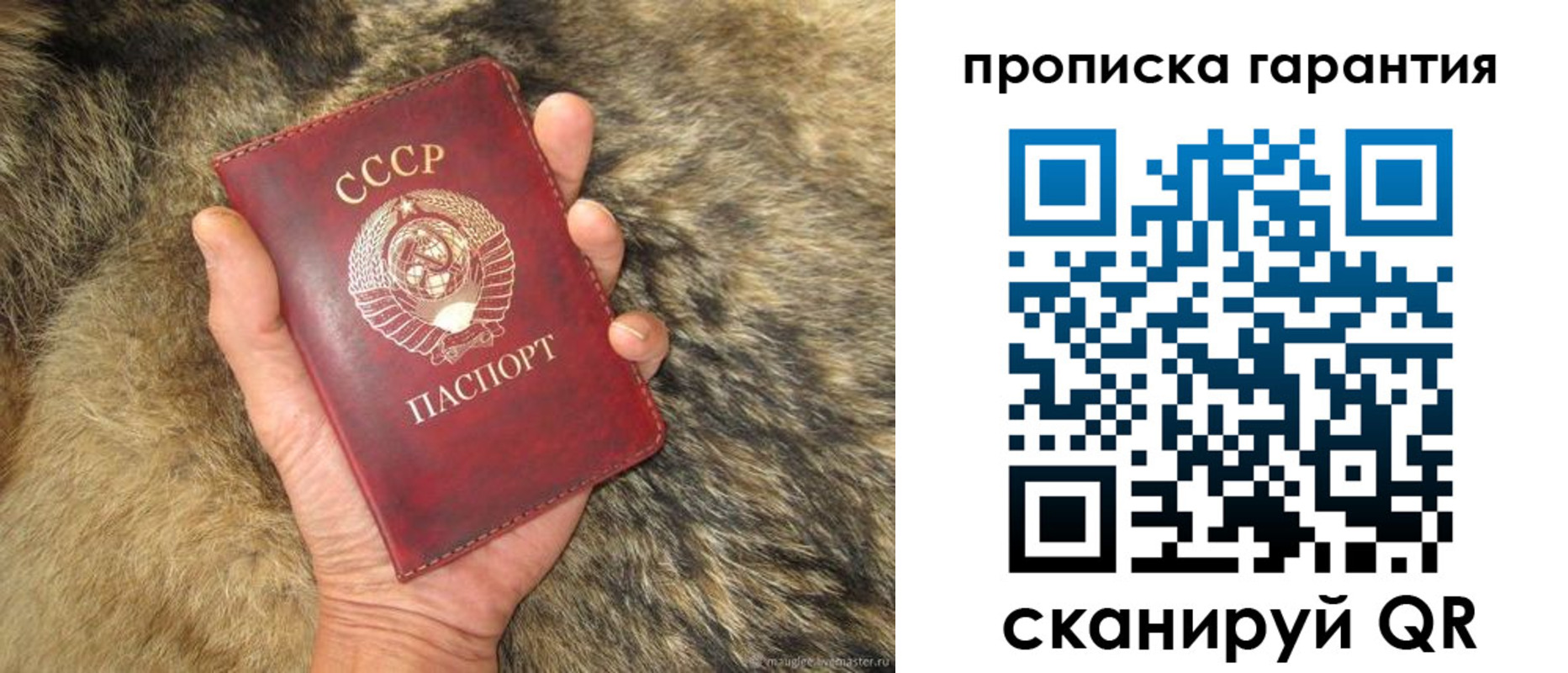временная регистрация гарантия в Бикине